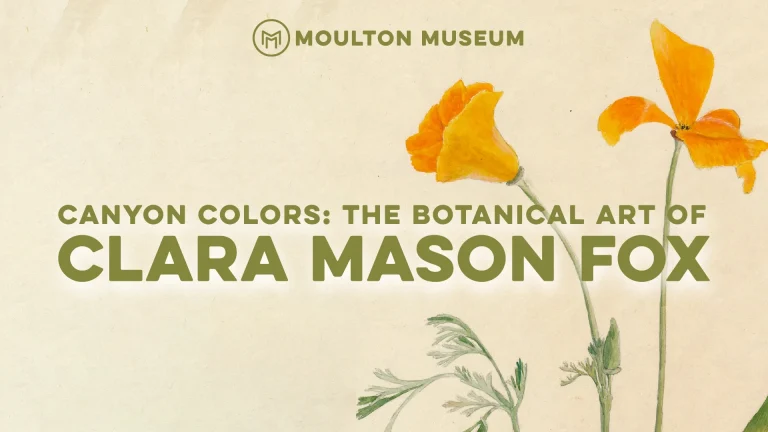 Clara Mason Fox Exhibit Header