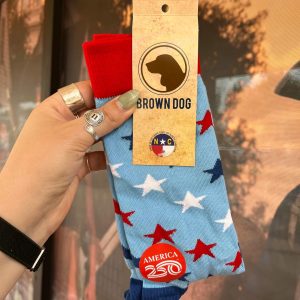 Red White Blue Star Patterned Sock